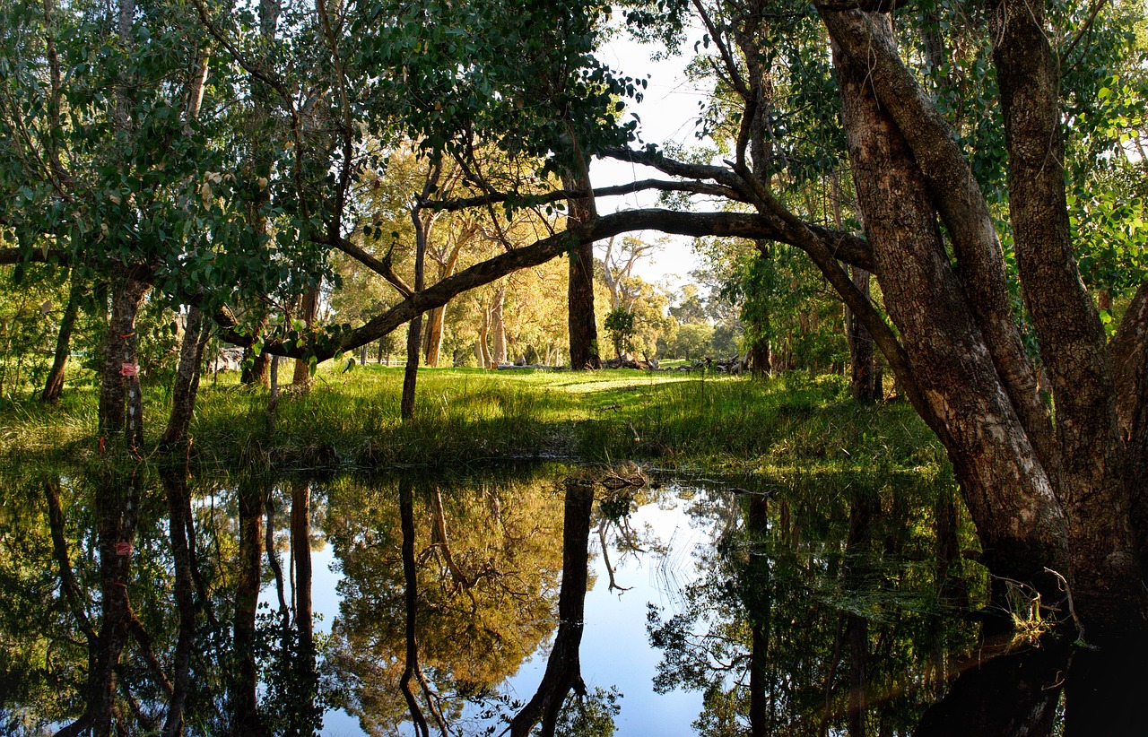 The Benefits of Preserving Natural Habitats